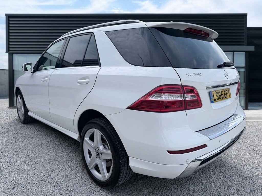 Mercedes-Benz M Class 2.1 Ml250 Bluetec Amg Line White #5