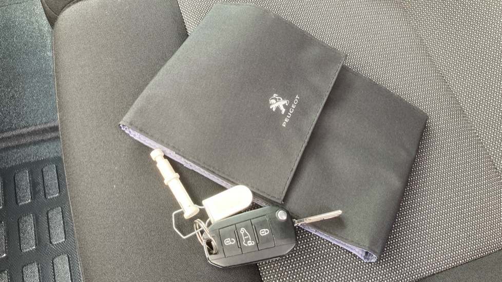 Peugeot E-Expert Expert Professional Prem L1 Ev Grey #20
