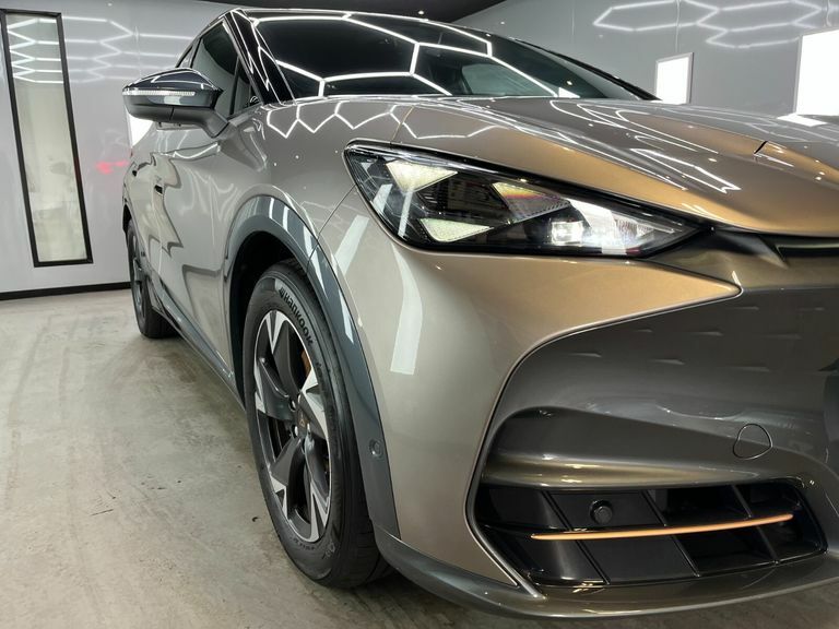 Cupra Tavascan V1 Beige #3