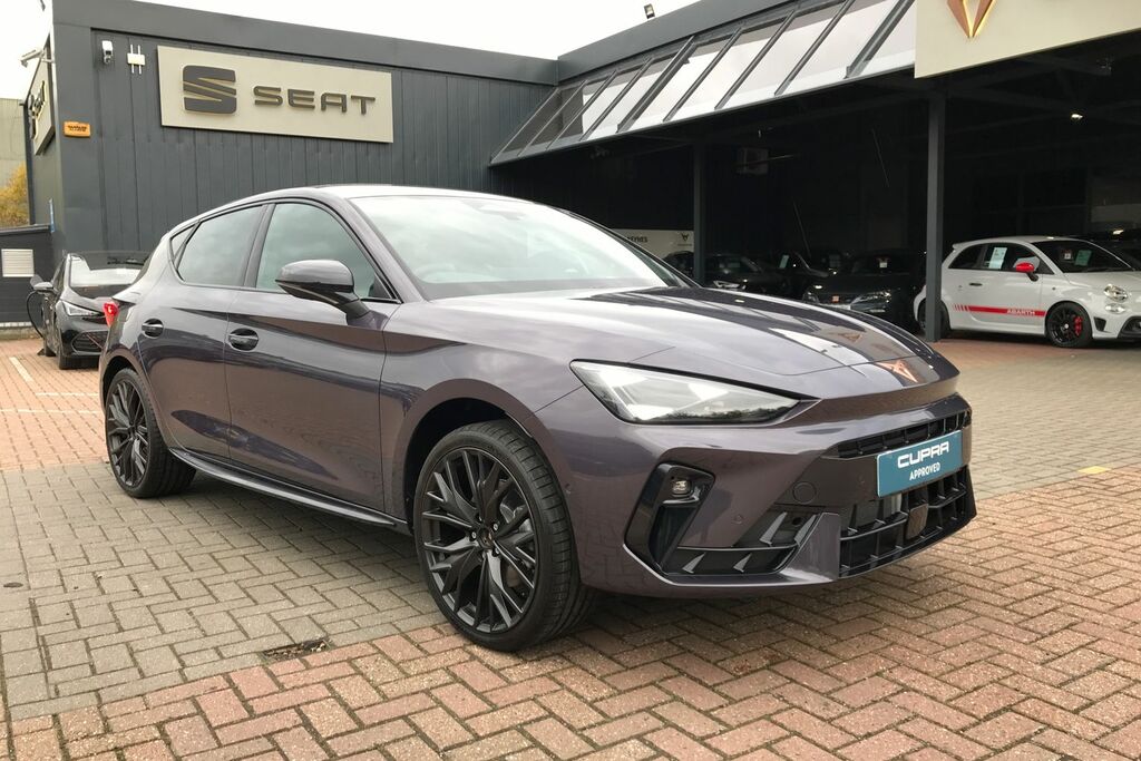 Cupra Leon 1.5 Etsi 150 V2 Dsg Grey #25