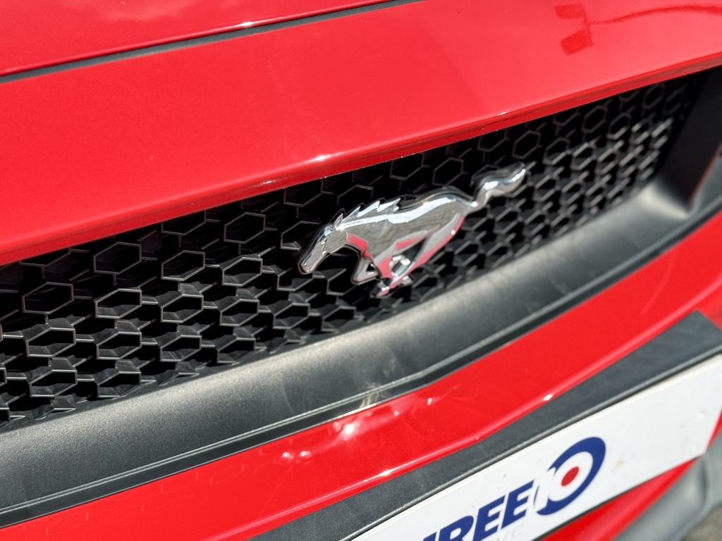 Ford Mustang Ford Mustang Gt Red #5