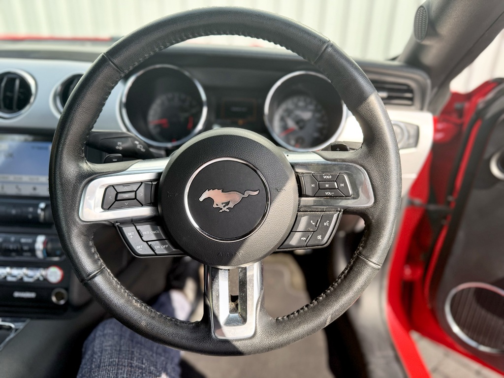 Ford Mustang Mustang Gt White #15
