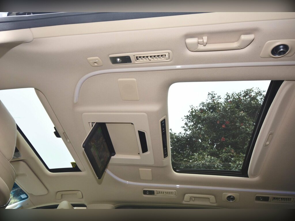 Toyota Alphard   #29