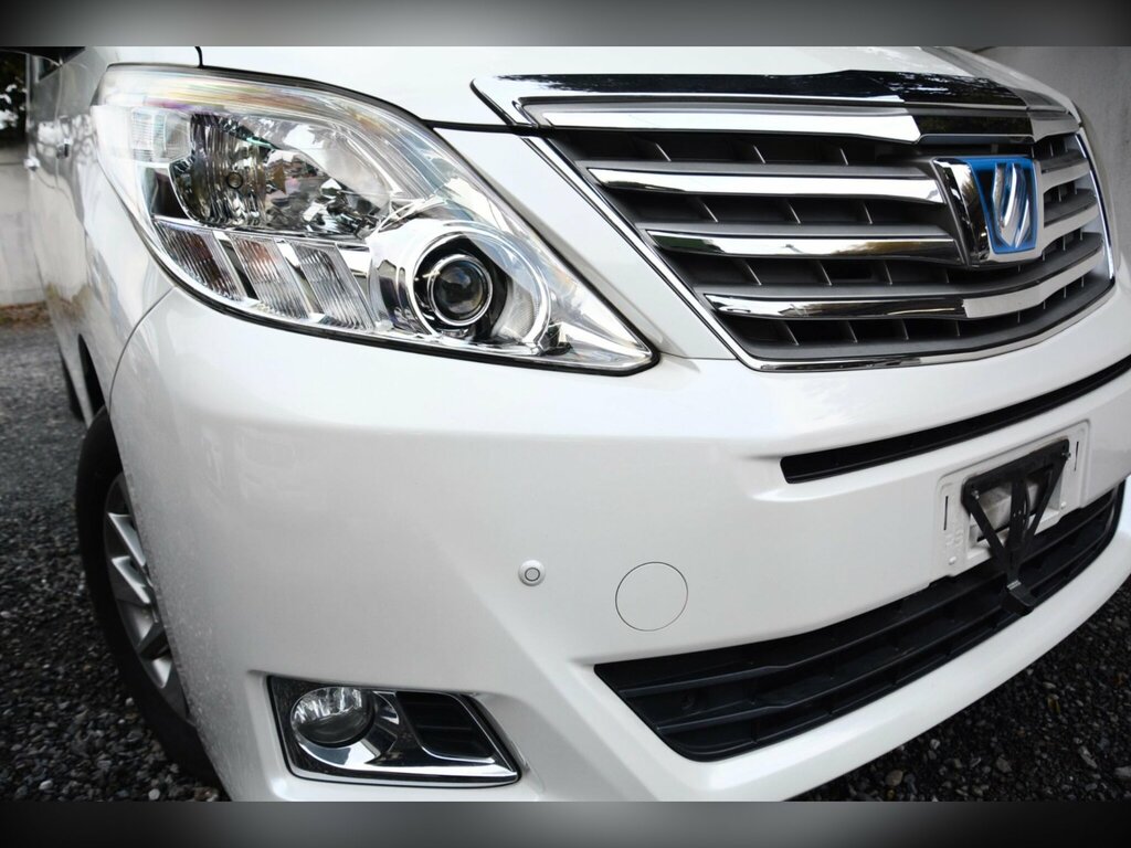 Toyota Alphard Mpv Silver #16
