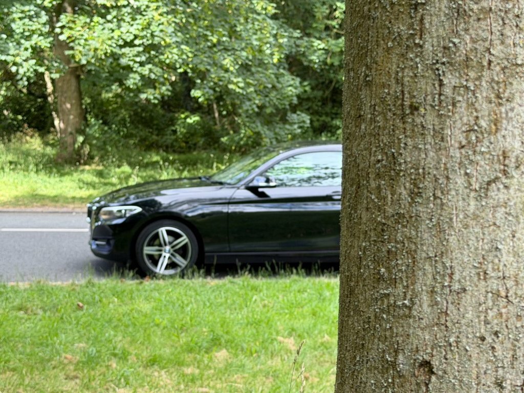 BMW 2 Series Gran Coupe 2.0 220D M Sport Coupe Euro 6 Ss Red #13