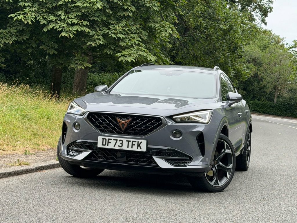 Cupra Formentor 1.5L V2 Grey #6