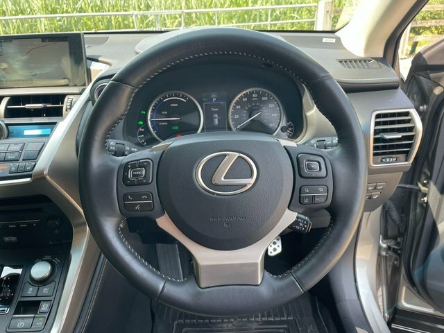 Lexus NX 2.5 300H Premier Red #10