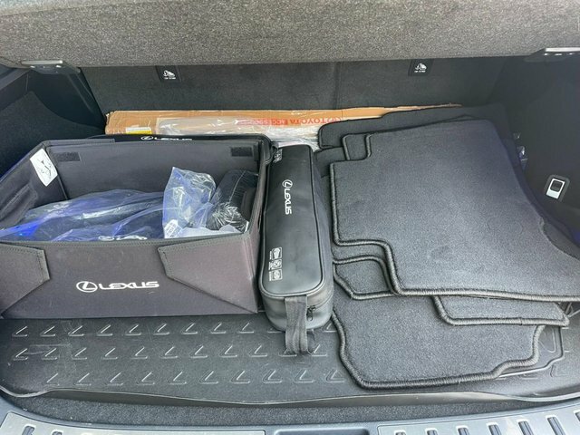 Lexus NX 2.5 300H Premier Red #21