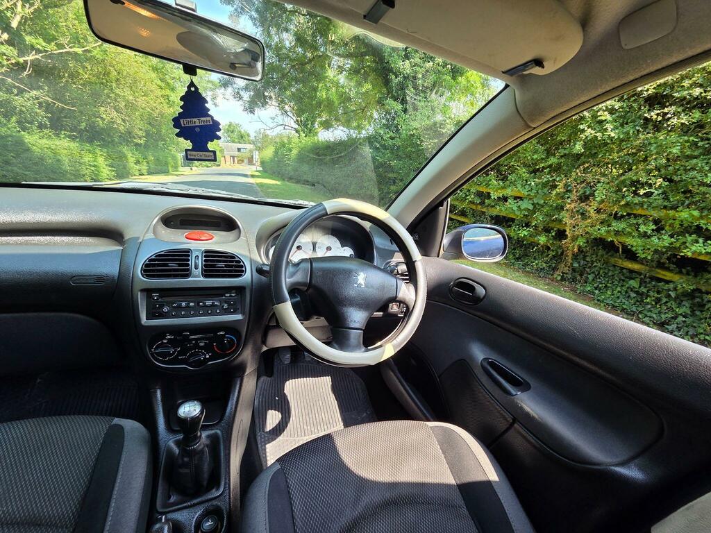 Peugeot 206 Look Blue #15