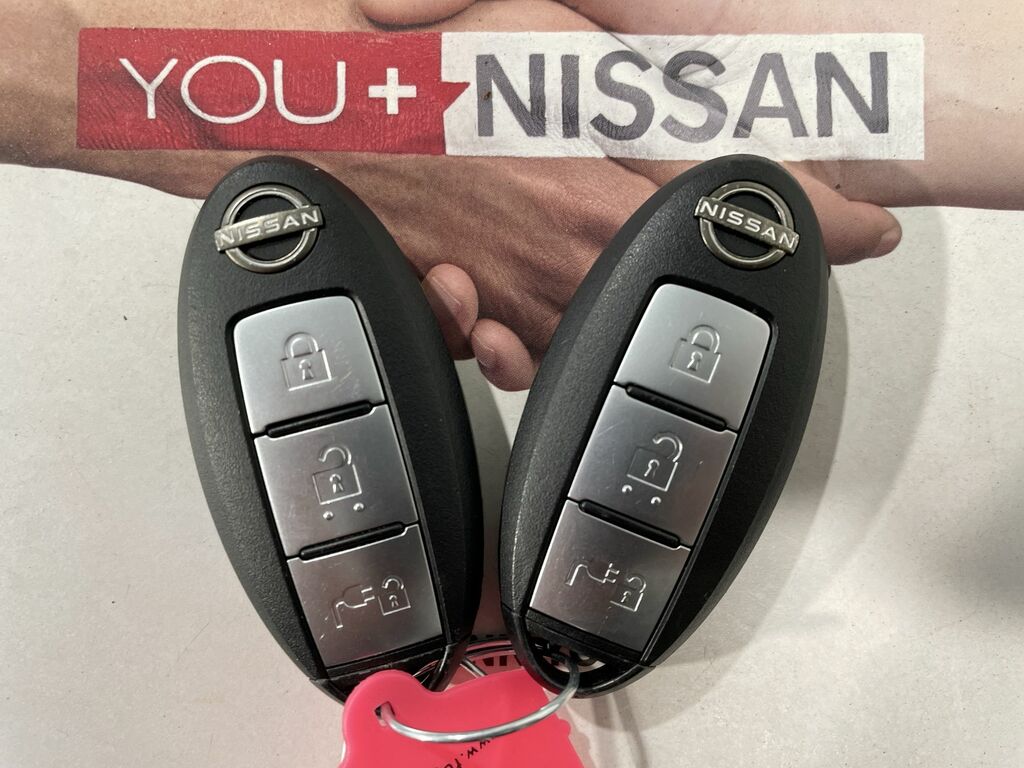 Nissan Leaf Tekna Grey #51