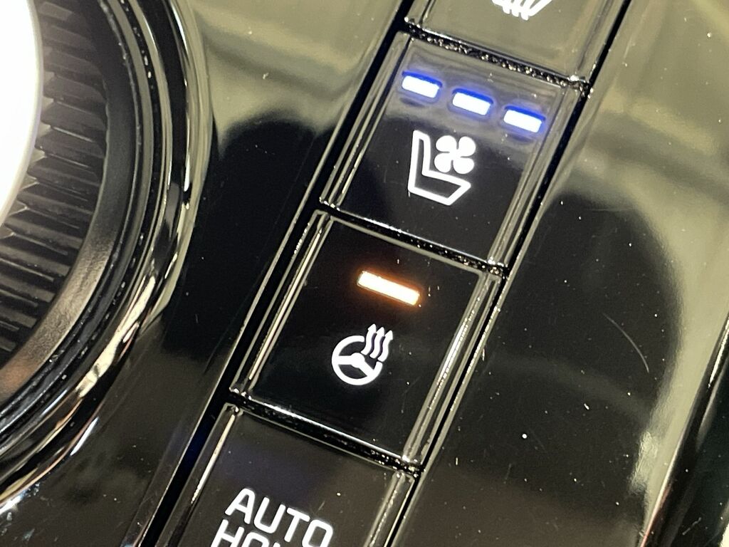 Kia Niro Niro 3 Hev Red #38