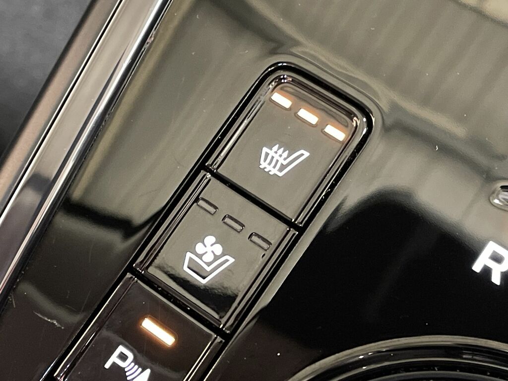 Kia Niro Niro 3 Hev Red #37