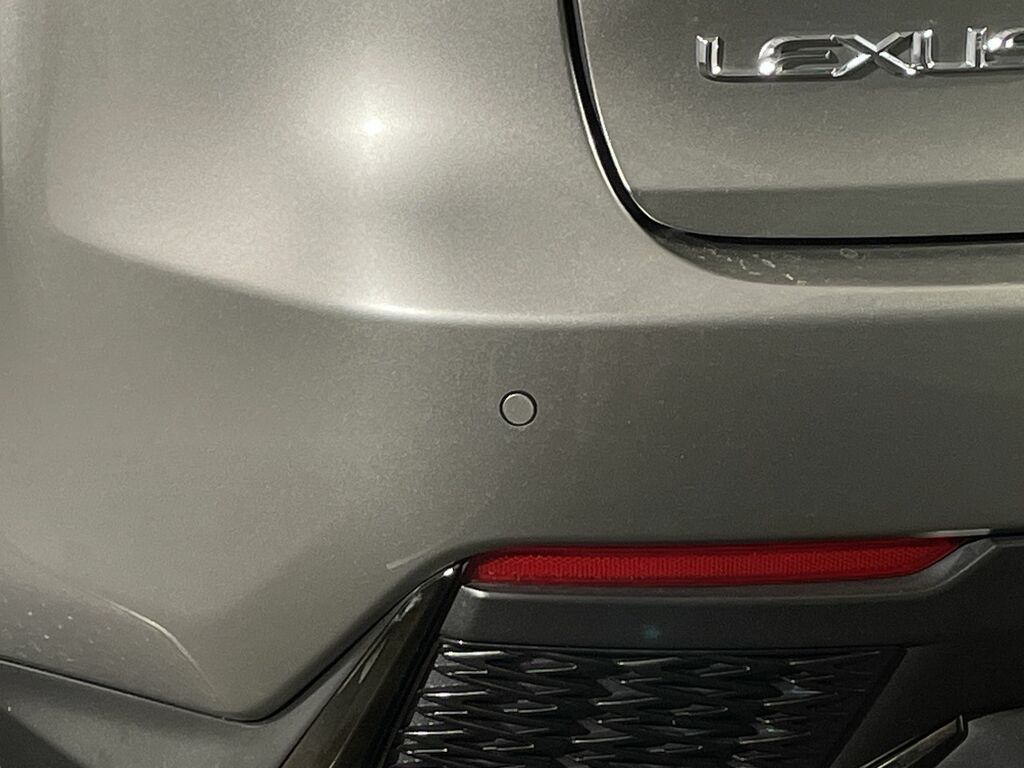 Lexus NX Nx 300H Takumi Cvt Silver #21