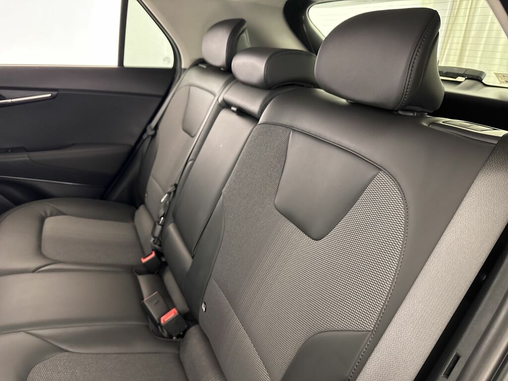 Kia e-Niro 4 Black #15
