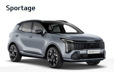 Kia Sportage Gt-line S 1.6 Self Charging Hybrid Silver