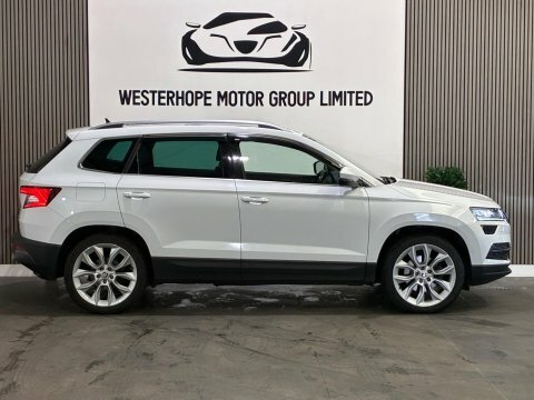 Skoda Karoq 2L Se Technology Grey #20