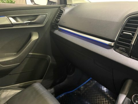 Skoda Karoq 2L Se Technology Grey #24