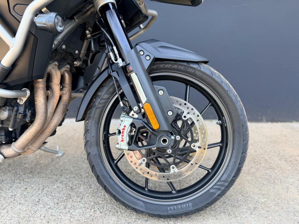 Triumph Sports Gold #2