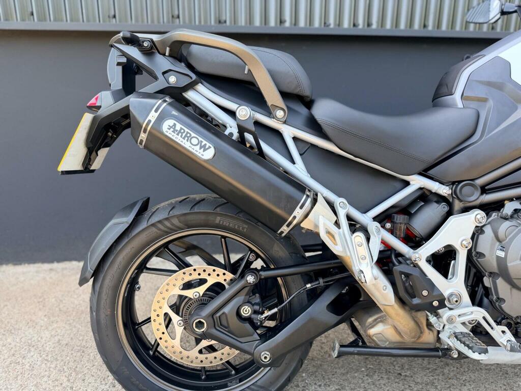 Triumph Sports Gold #7