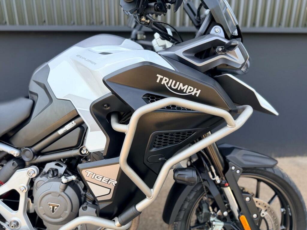 Triumph Sports Gold #4