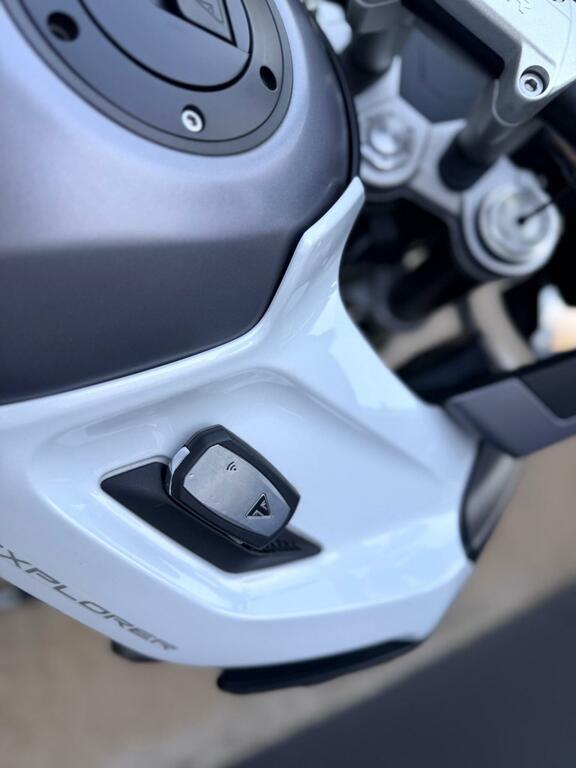 Triumph Sports Gold #21