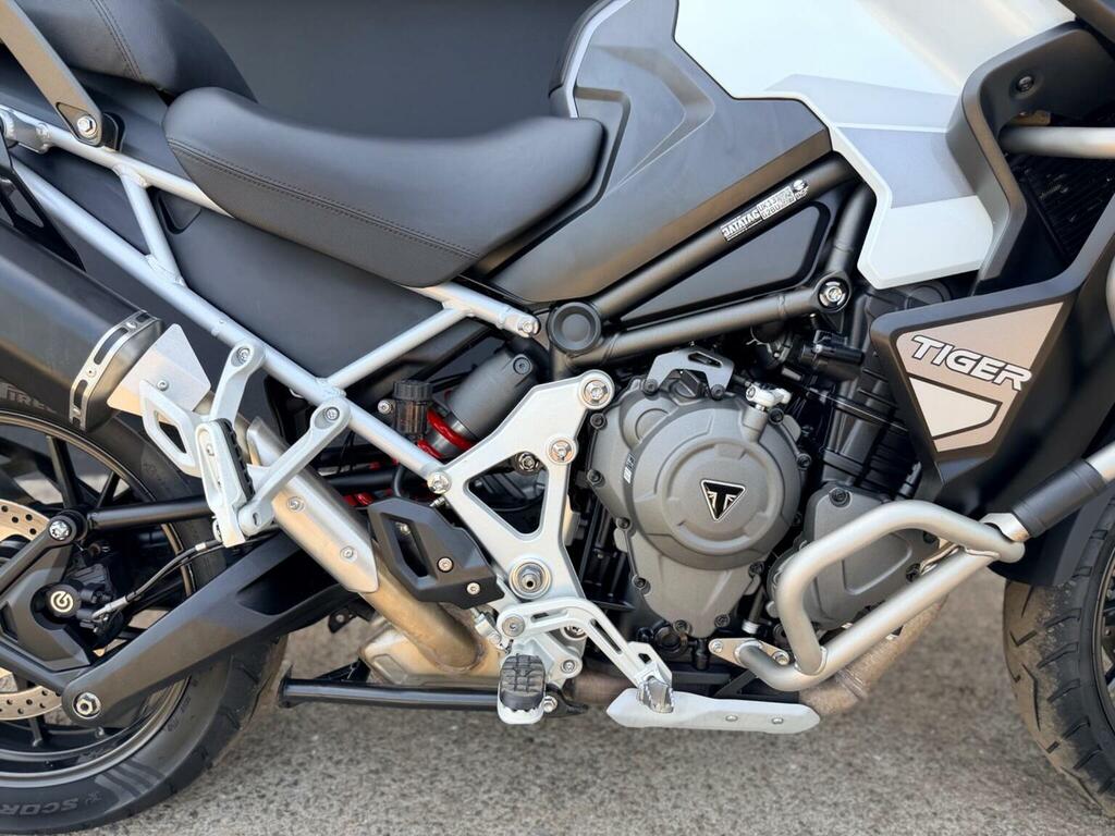 Triumph Sports Gold #5