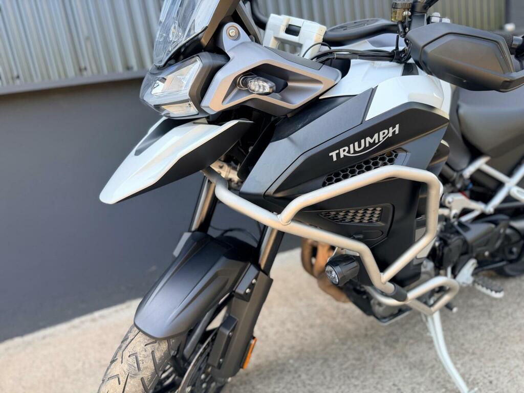 Triumph Sports Gold #20