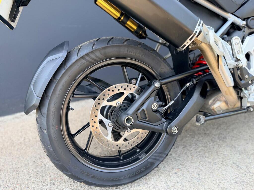 Triumph Sports Gold #8