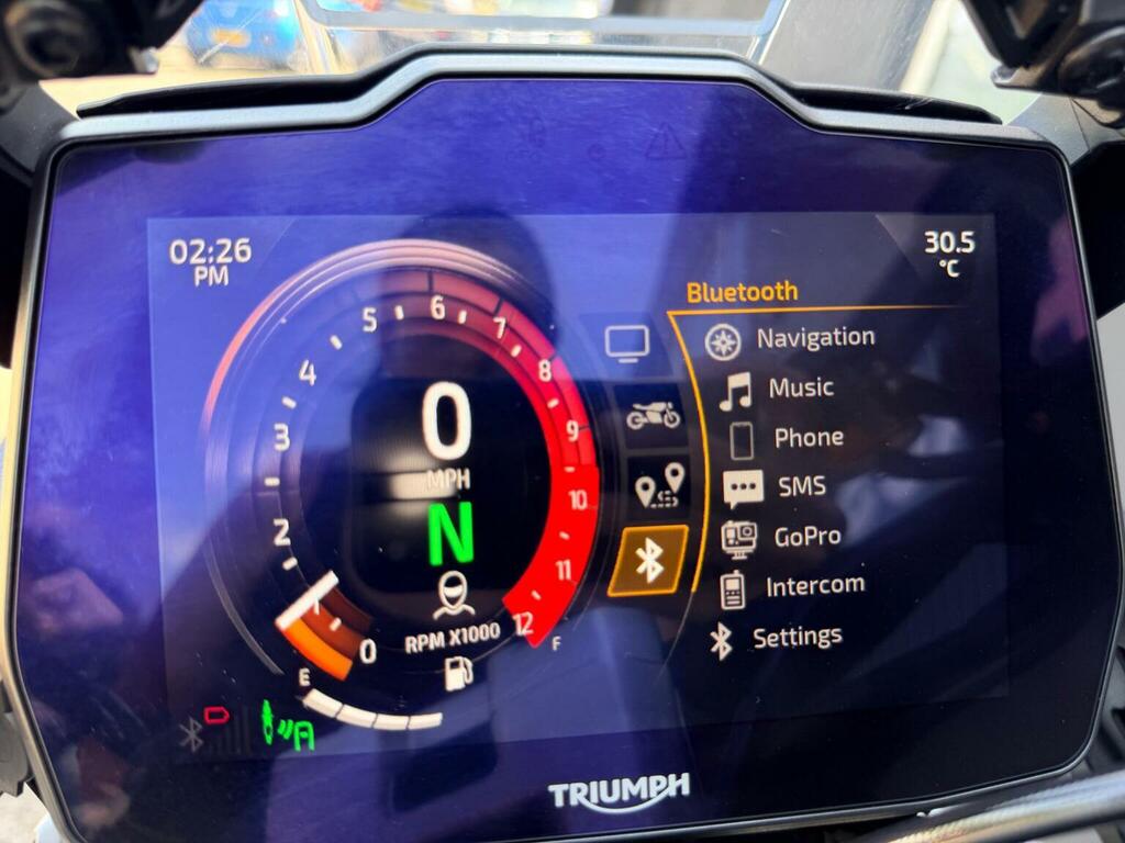 Triumph Sports Gold #24