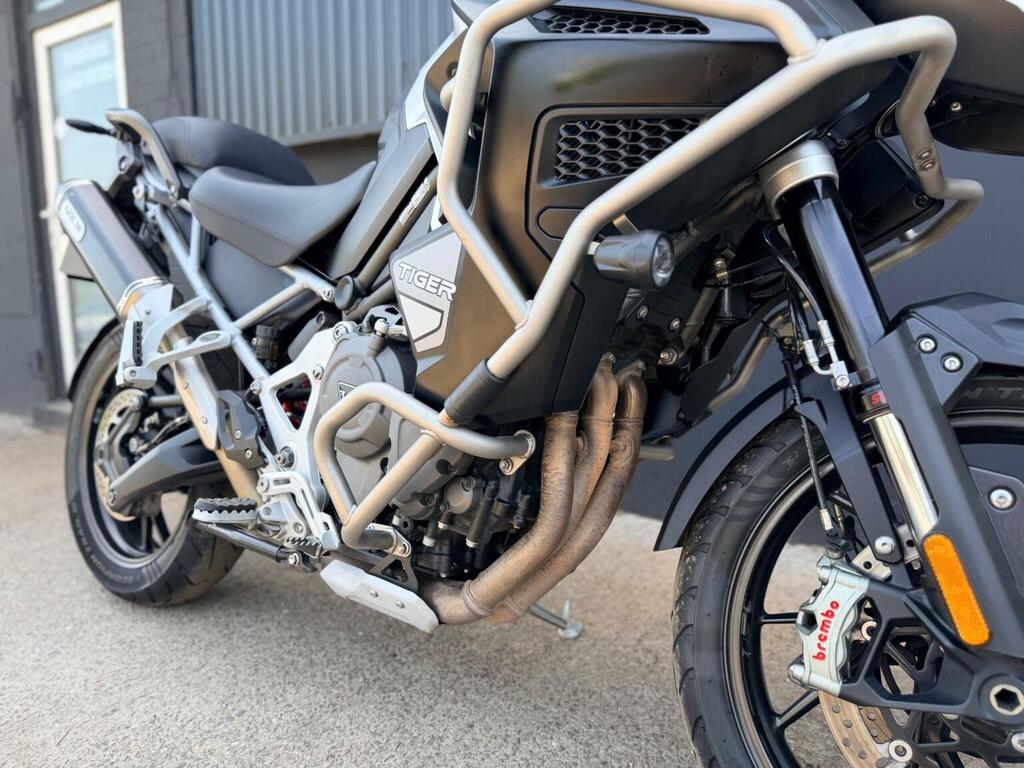 Triumph Sports Gold #3