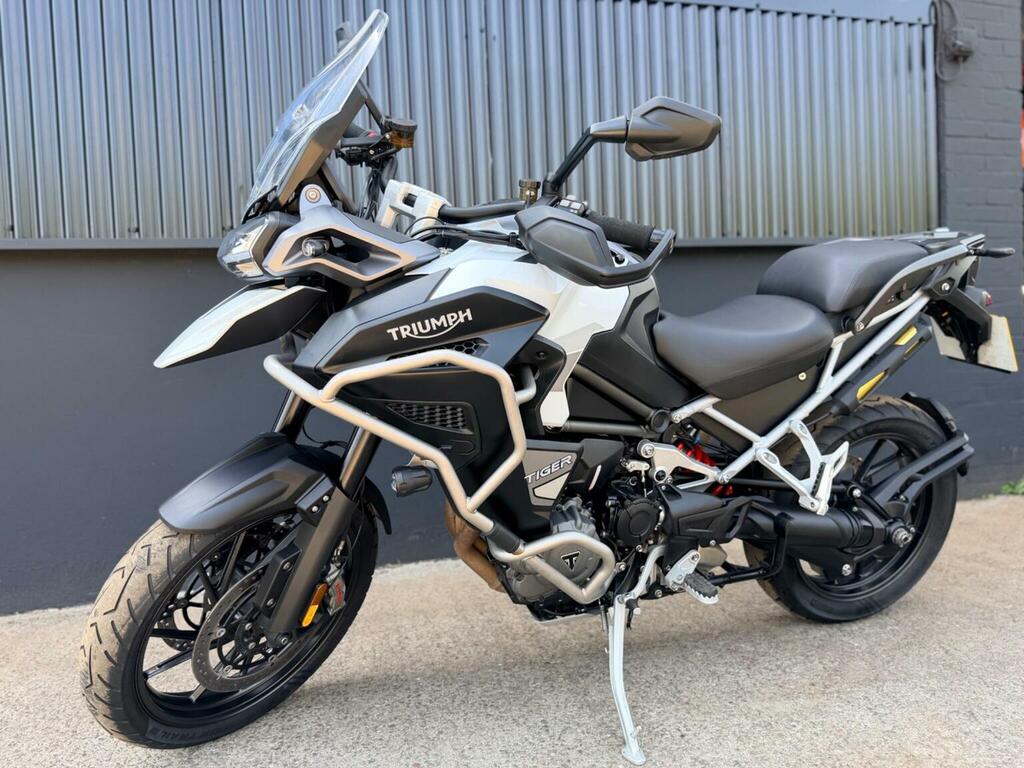Triumph Sports Gold #16