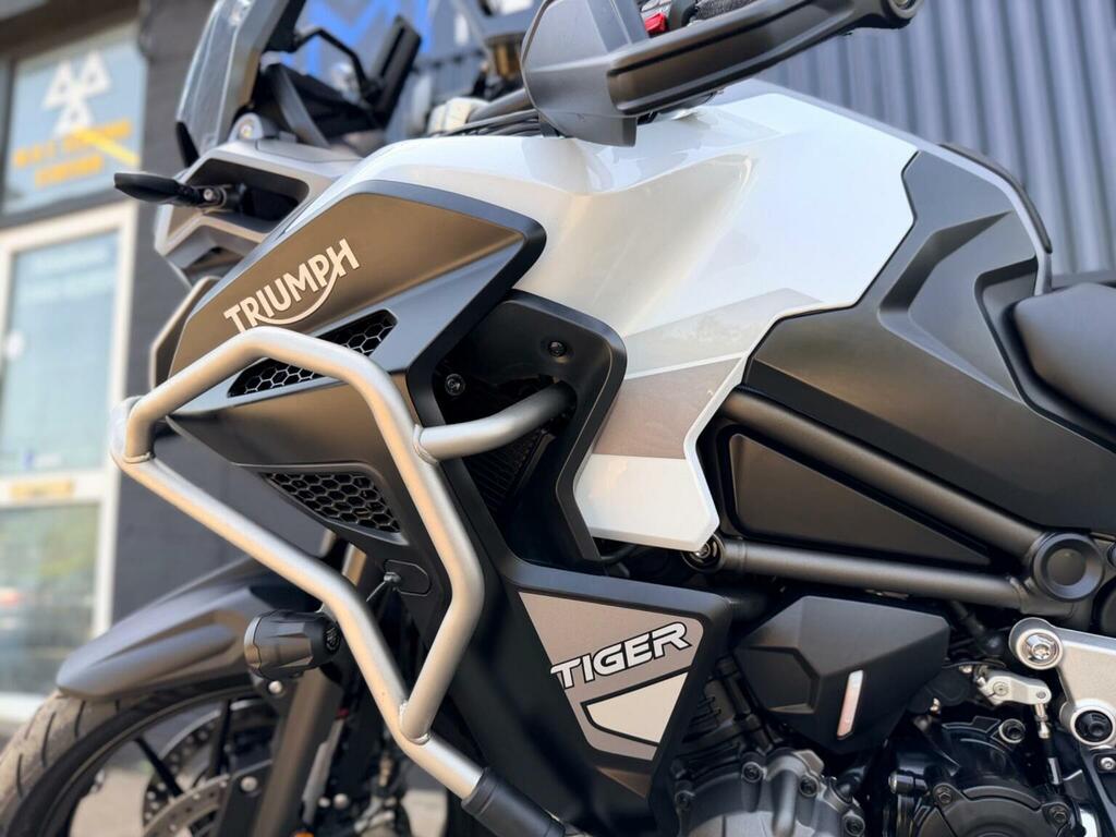 Triumph Sports Gold #19