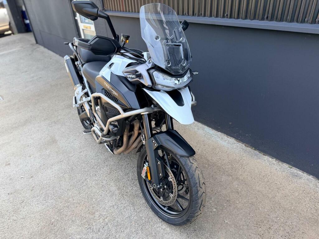 Triumph Sports Gold #13