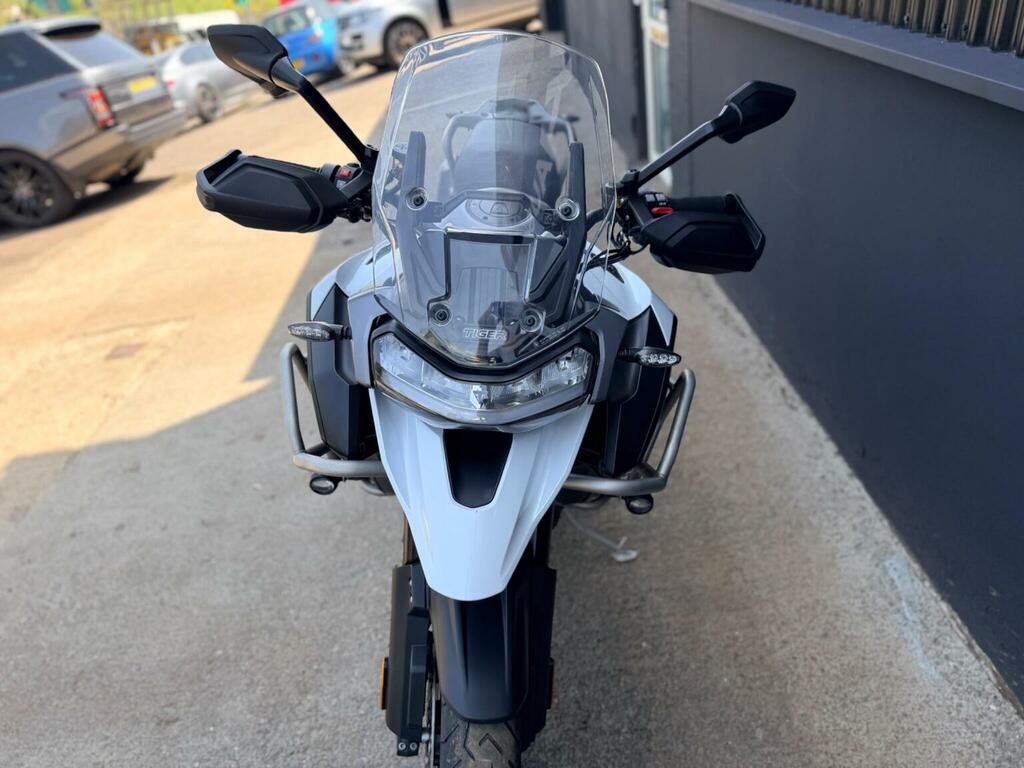 Triumph Sports Gold #15