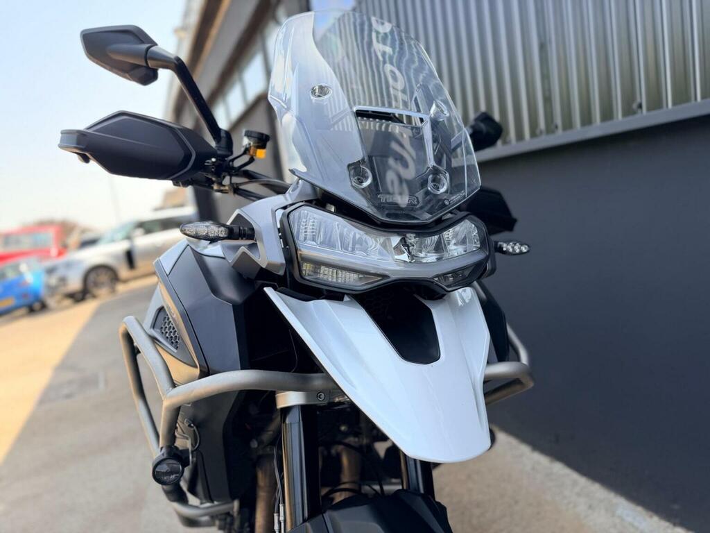 Triumph Sports Gold #14