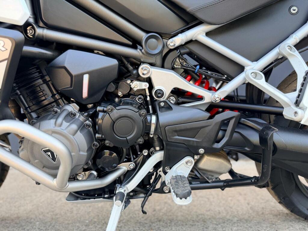 Triumph Sports Gold #18
