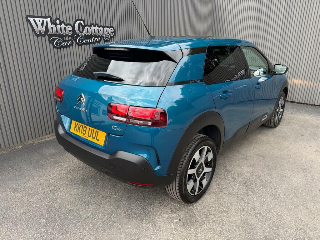 Citroen C4 Cactus 1.5 Bluehdi Flair Euro 6 Ss Blue #2
