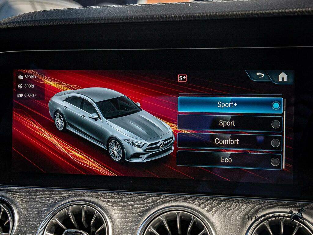 Mercedes-Benz CLS  Grey #31