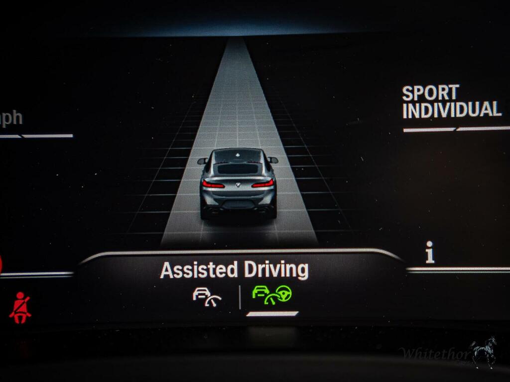 BMW X4 Xdrive M40d Mht M Pro Edition Grey #31