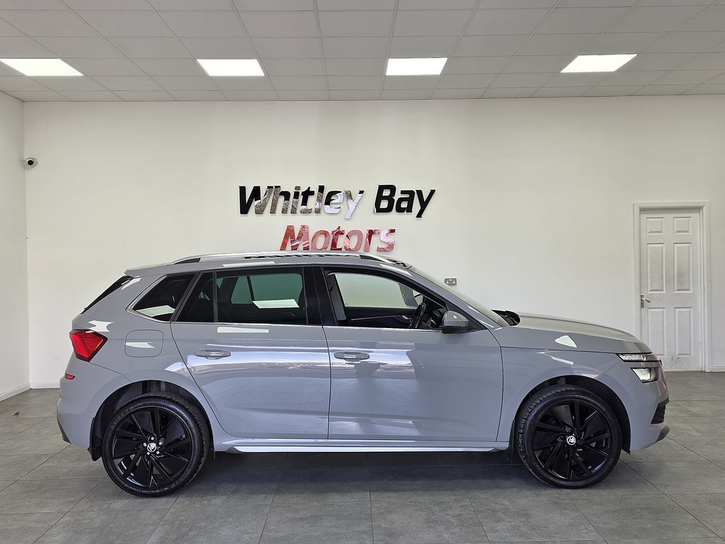 Skoda Kamiq Tdi Se L Grey #2