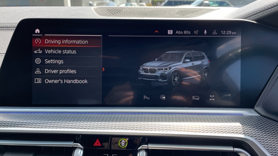 BMW X5 X5 Xdrive45e Xline Grey #38
