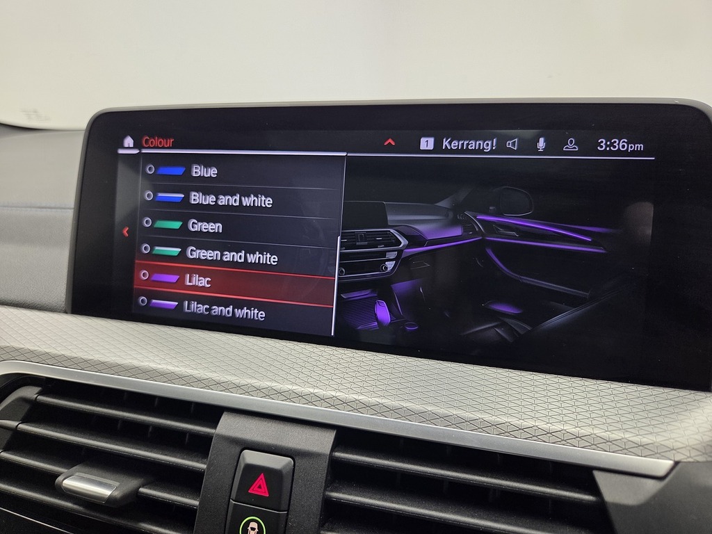BMW X4 X4 M40d Blue #39