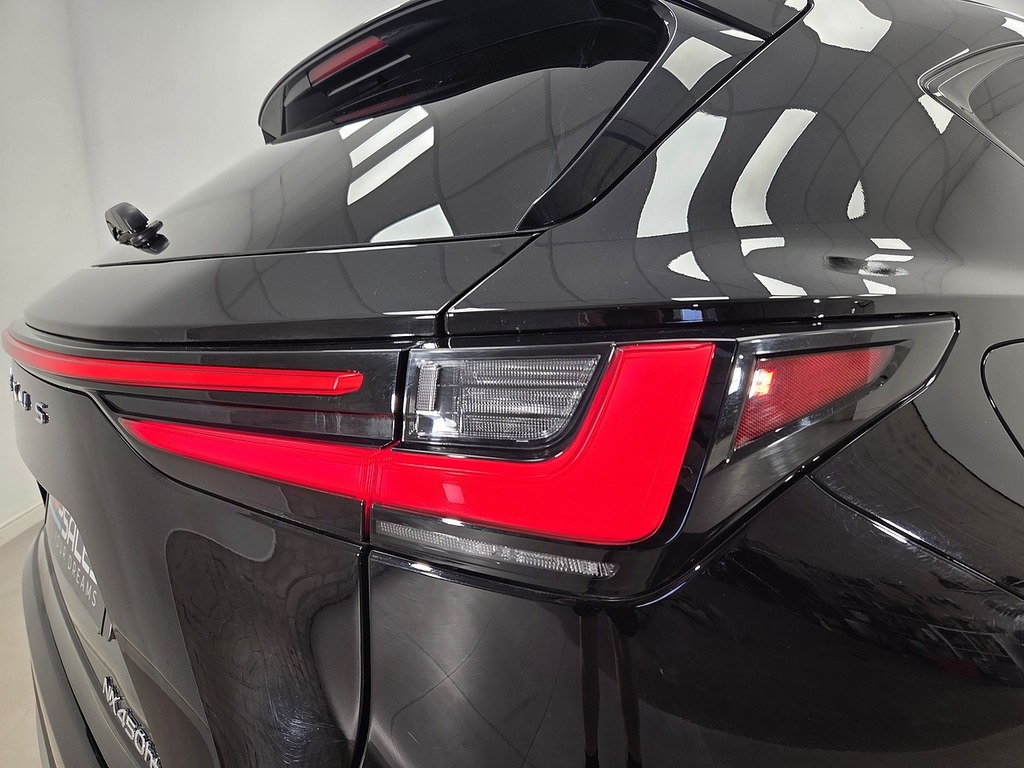 Lexus NX 350H 2.5 F-sport E-cvt Premium Plus Pack Green #39