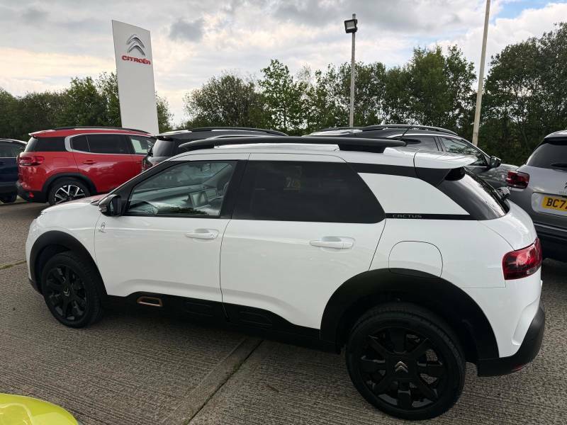Citroen C4 Cactus Flair White #7