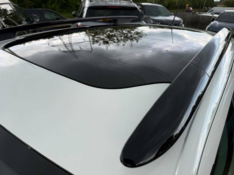 Citroen C4 Cactus Flair White #30