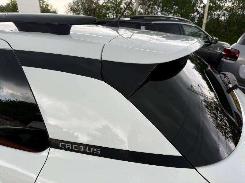 Citroen C4 Cactus Flair White #29