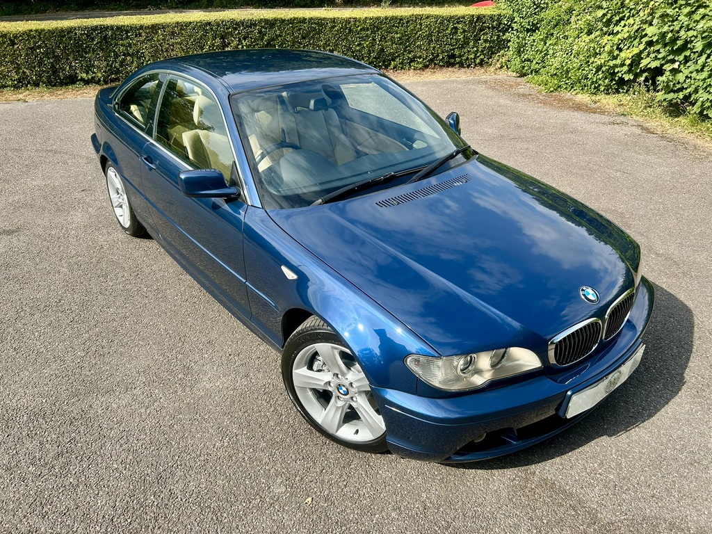 BMW 3 Series 2.0 318I Es Blue #8