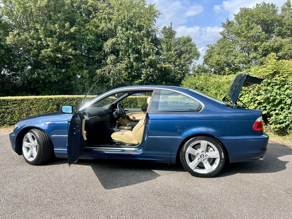 BMW 3 Series 2.0 318I Es Blue #14