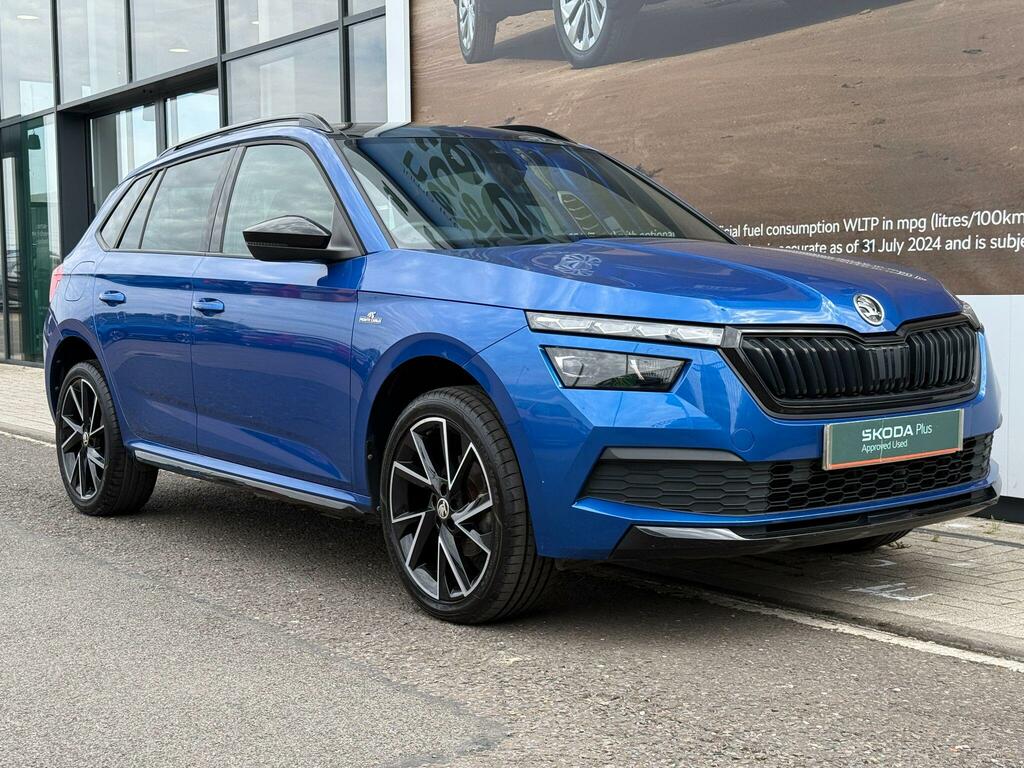 Skoda Kamiq Se Blue #10