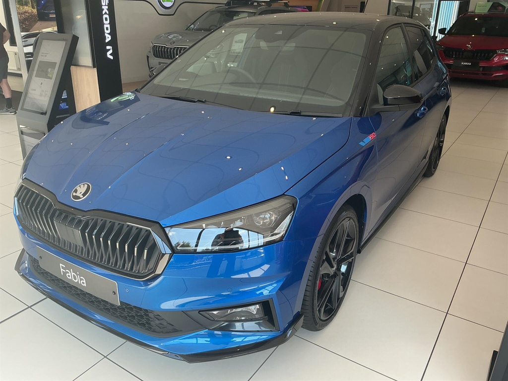 Skoda Fabia Hatchback Blue #1